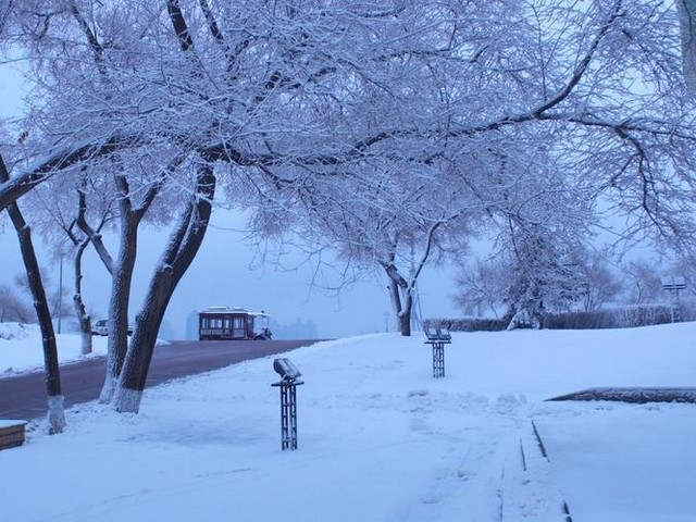 冬天的校园景色描写