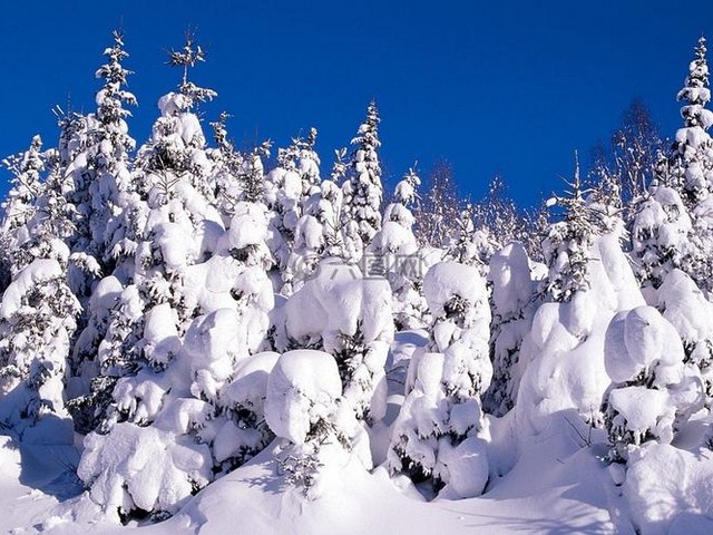 冬天山上雪景色描写,美景句子